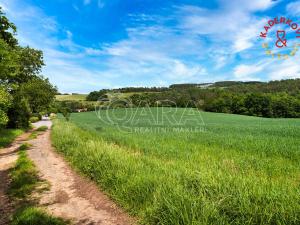 Prodej pozemku pro bydlení, Horní Poříčí, 12859 m2