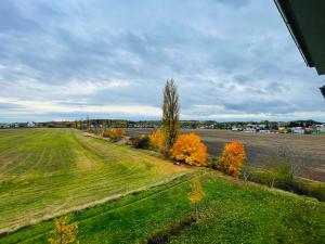 Pronájem bytu 2+kk, Olomouc - Slavonín, Topolová, 53 m2