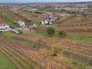 Prodej vinného sklepa, Mutěnice, 120 m2