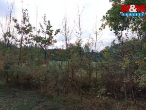 Prodej louky, Petrovice - Žemličkova Lhota, 2513 m2