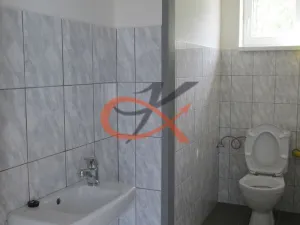 Pronájem skladu, Valašské Meziříčí, M. Alše, 475 m2