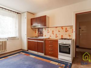 Prodej bytu 2+1, Horní Slavkov, Zahradní, 50 m2