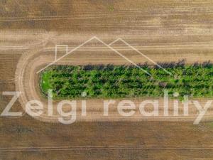 Prodej sadu/vinice, Zaječí, 8494 m2