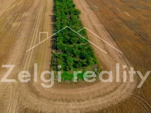 Prodej sadu/vinice, Zaječí, Hlavní, 8494 m2