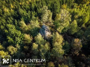 Prodej lesa, Šimonovice, 30343 m2