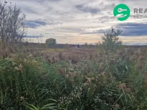 Prodej pole, Dubňany, 2371 m2