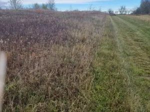 Prodej pole, Dubňany, 2371 m2