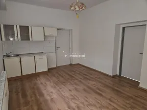 Pronájem bytu 2+1, Trmice, Žižkova, 80 m2