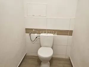 Pronájem bytu 2+1, Trmice, Žižkova, 80 m2