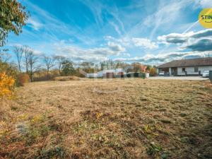 Prodej pozemku pro bydlení, Dřenice, 1336 m2