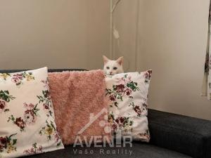 Prodej rodinného domu, Jablonec nad Nisou, 220 m2