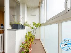 Pronájem bytu 2+1, Olomouc, Heyrovského, 58 m2