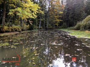 Prodej pozemku, Chlum u Třeboně - Žíteč, 64790 m2