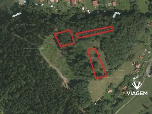 Prodej lesa, Mikulůvka, 3813 m2