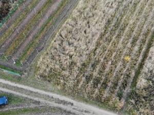 Prodej vinného sklepa, Hrušky, 35 m2