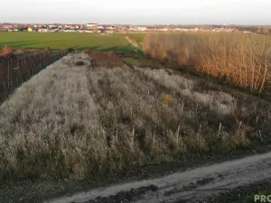 Prodej vinného sklepa, Hrušky, 35 m2