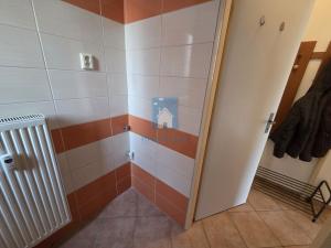 Pronájem bytu 1+1, Plzeň, Sladkovského, 42 m2