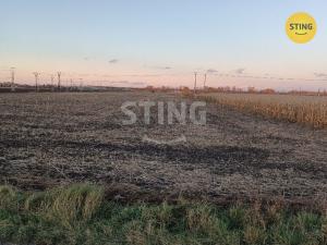 Prodej pole, Břeclav, 10356 m2