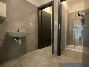 Pronájem kanceláře, Brno, Úlehlova, 110 m2