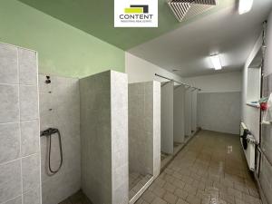 Pronájem výrobních prostor, Litvínov - Záluží, 7684 m2