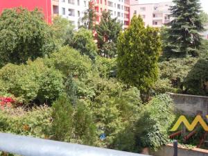 Pronájem bytu 2+kk, Pardubice - Zelené Předměstí, K Višňovce, 58 m2