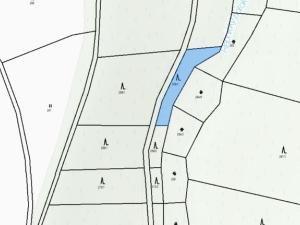 Prodej lesa, Řepníky, 562 m2