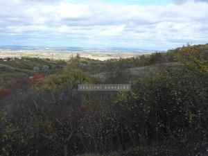 Prodej chaty, Židlochovice, 27 m2