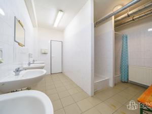 Prodej výrobních prostor, Krásno, Kladenská, 4900 m2