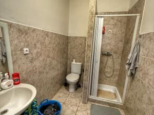 Pronájem bytu 1+1, Strašice, 40 m2