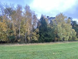 Prodej lesa, Srbice - Těšovice, 2923 m2