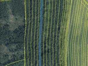 Prodej lesa, Srbice - Těšovice, 2923 m2