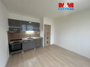 Pronájem bytu 1+1, Ústí nad Labem - Střekov, Nová, 35 m2