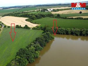 Prodej rybníku, Český Brod - Liblice, 6053 m2