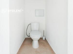 Pronájem bytu 1+1, Proboštov, Kpt. Jaroše, 41 m2