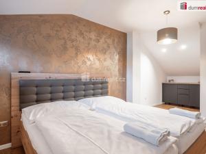 Prodej rodinného domu, Dolní Morava, 184 m2