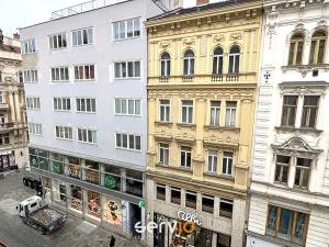 Pronájem bytu 3+1, Brno, Zelný trh, 104 m2