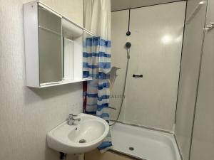 Pronájem bytu 1+kk, Ostrava, Hornopolní, 33 m2