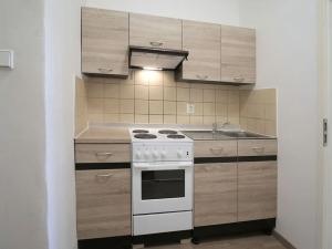 Pronájem bytu 2+1, Praha - Žižkov, Bořivojova, 49 m2