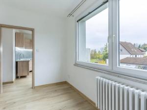 Pronájem bytu 3+1, Seč, Sídl. 9. května, 61 m2