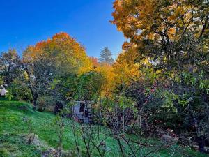 Prodej rodinného domu, Malá Skála, 37 m2