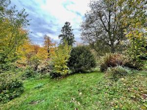 Prodej rodinného domu, Malá Skála, 37 m2