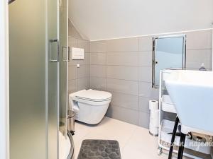 Pronájem bytu 1+kk, Praha - Hloubětín, Konzumní, 18 m2