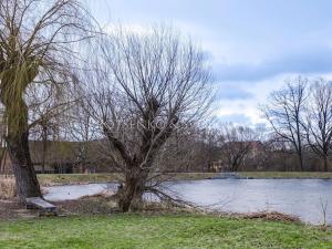 Prodej pozemku pro bydlení, Praha, 6104 m2