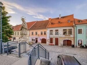 Prodej činžovního domu, Třebíč, Blahoslavova, 533 m2