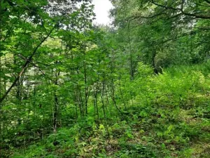 Prodej pozemku, Dolní Zimoř, 1049 m2