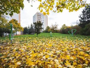 Pronájem bytu 2+kk, Praha - Strašnice, Průběžná, 45 m2