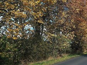 Prodej komerčního pozemku, Měšice, 2035 m2