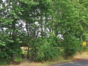 Prodej komerčního pozemku, Měšice, 2035 m2