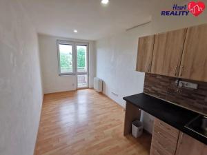 Pronájem bytu 1+kk, Opava, Haškova, 17 m2