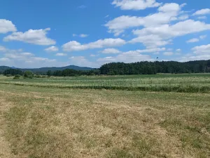 Dražba pozemku, Jestřebí, 13769 m2